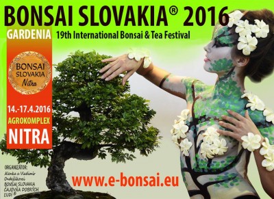 Bonsai Slovakia.jpg