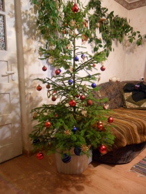2012 m. Trečiosios eglutės kalėdos.